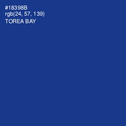 #18398B - Torea Bay Color Image